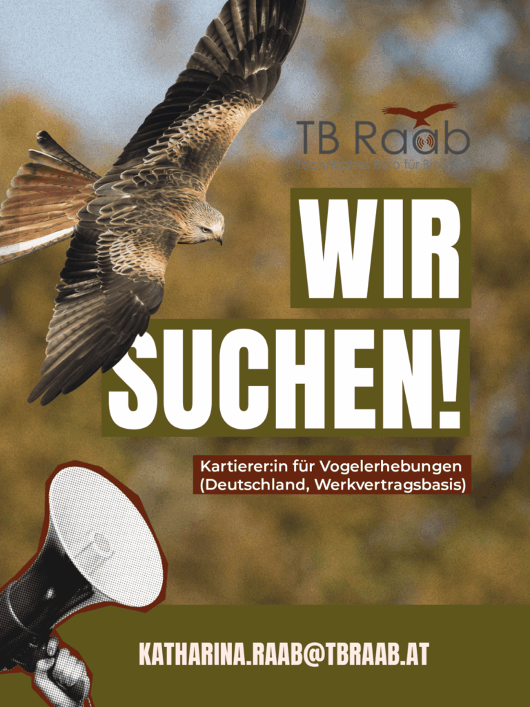 Wir suchen: Kartierer:in für Vogelerhebungen (Deutschland, Werkvertragsbasis)