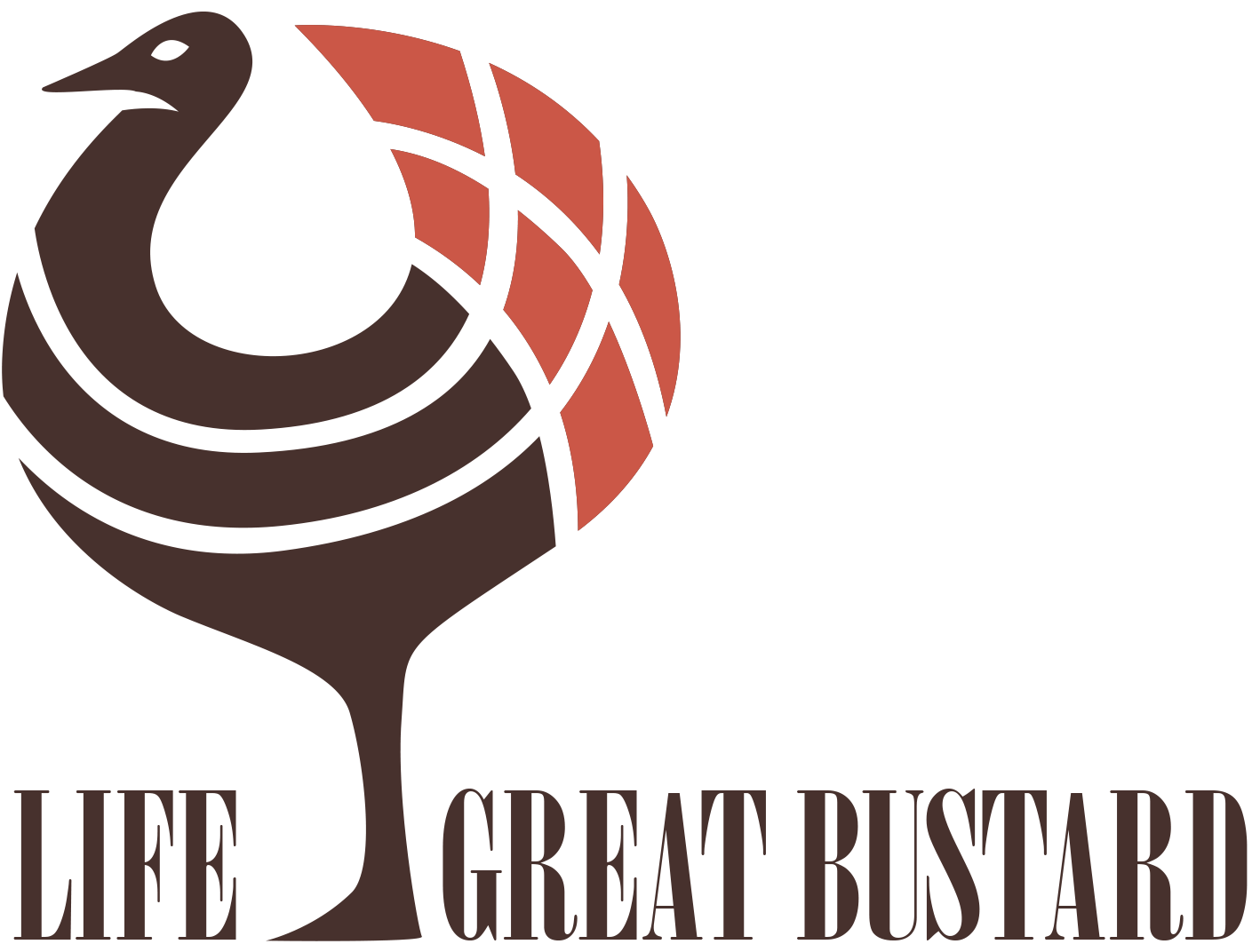 LIFE_GREAT_BUSTARD_color