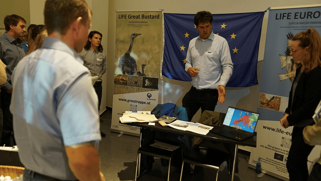 Untitled design(100)