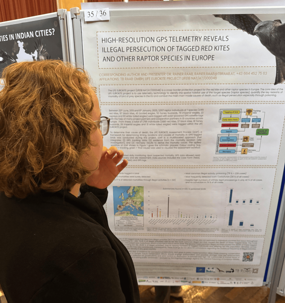 Untitled design(116)