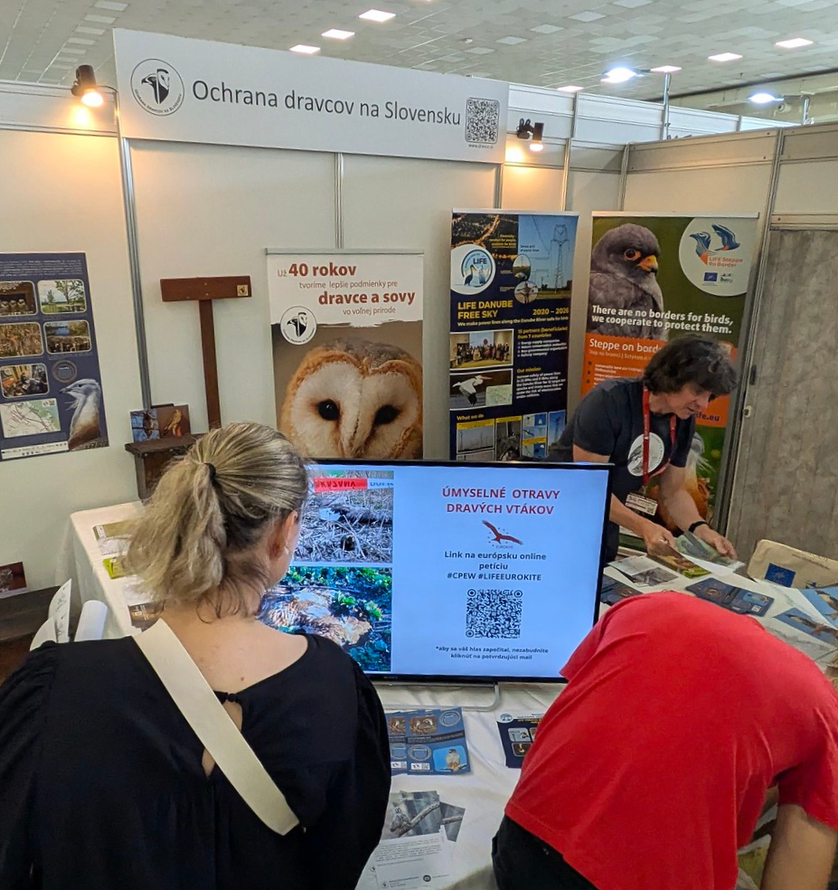 Untitled design(122)