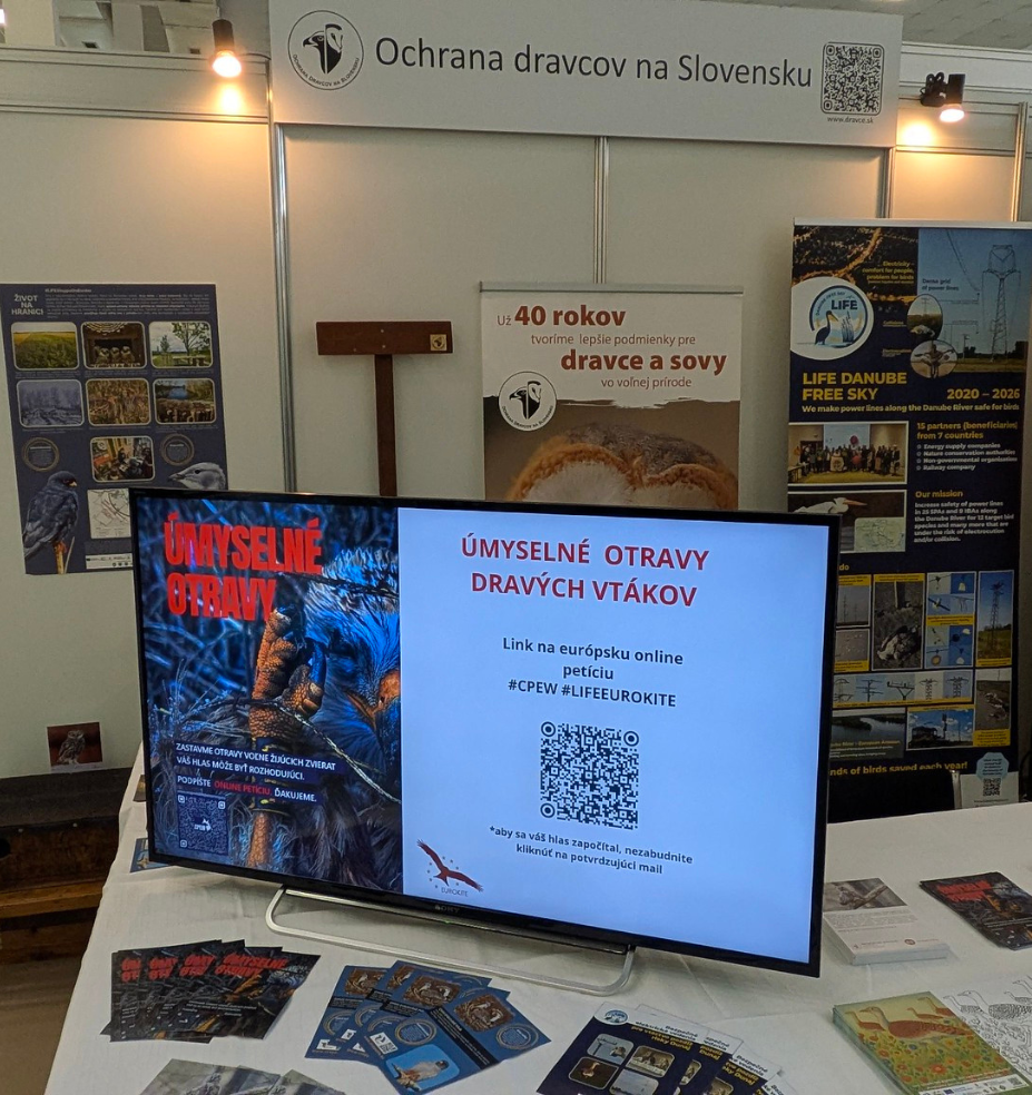 Untitled design(123)