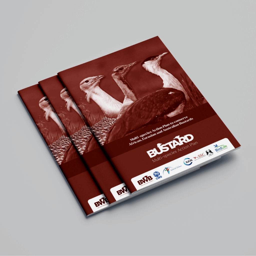 Untitled design(154)