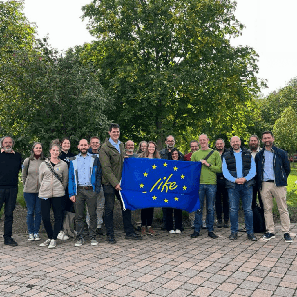 Untitled design(161)