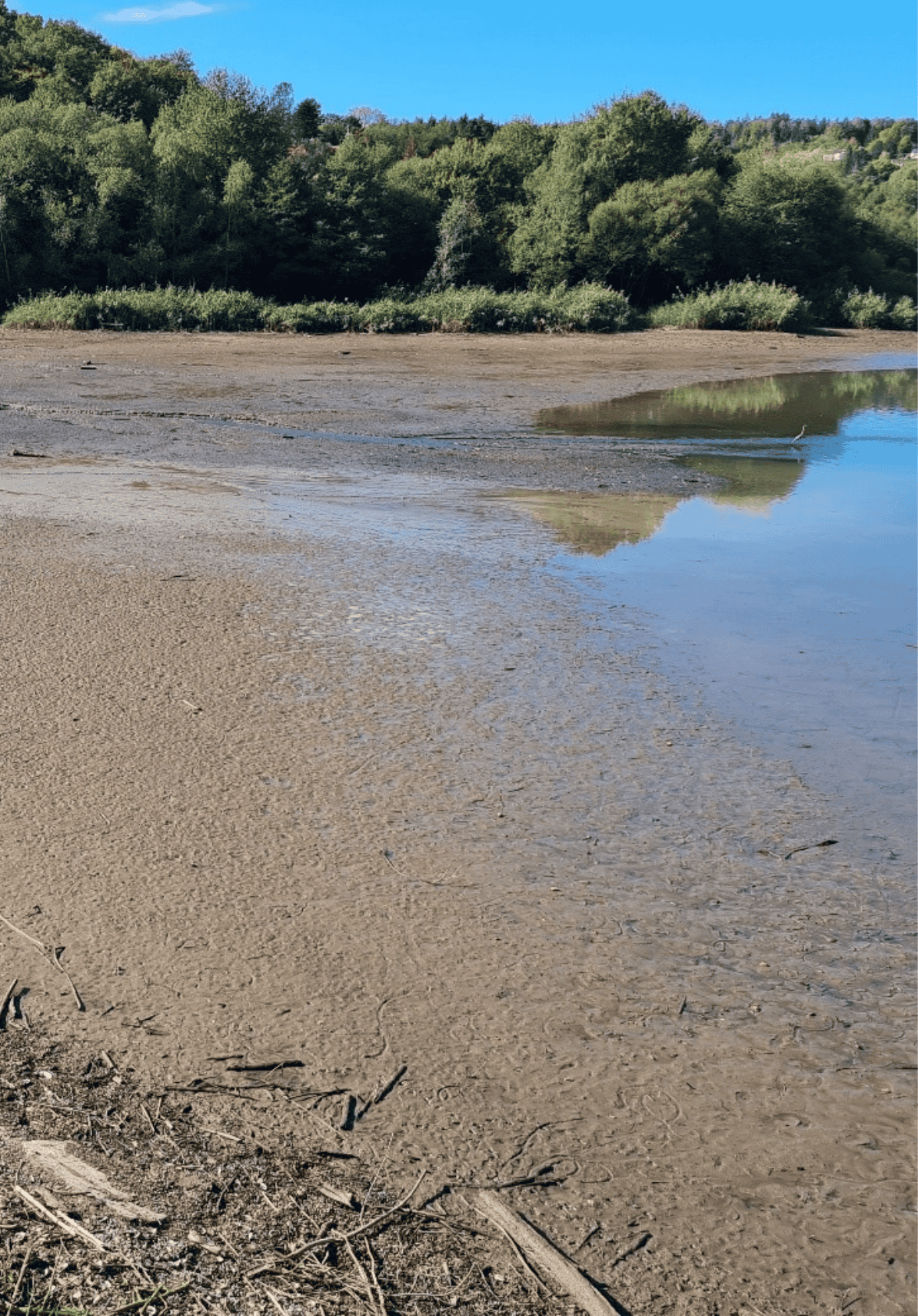 Untitled design(178)