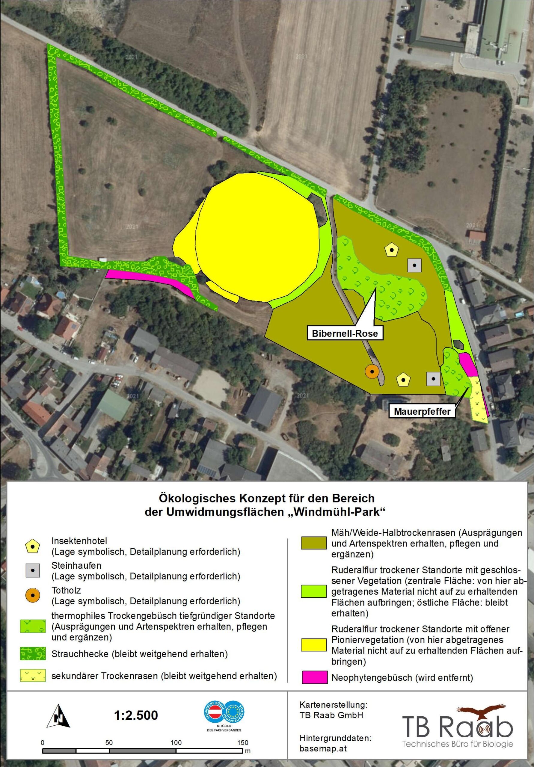 Ecological design concept for the rezoned area ‘Windmühl-Park’ in Markgrafneusiedl
