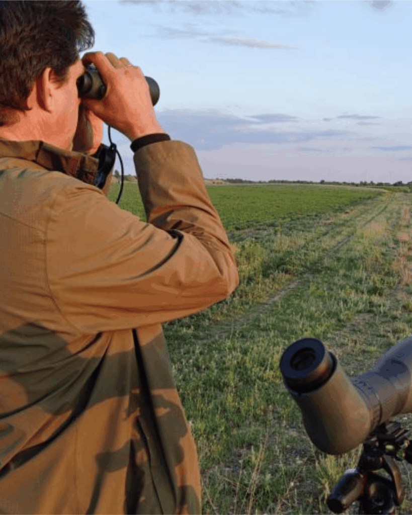 Rainer Raab Featured in Kurier Article on the Stone-curlew