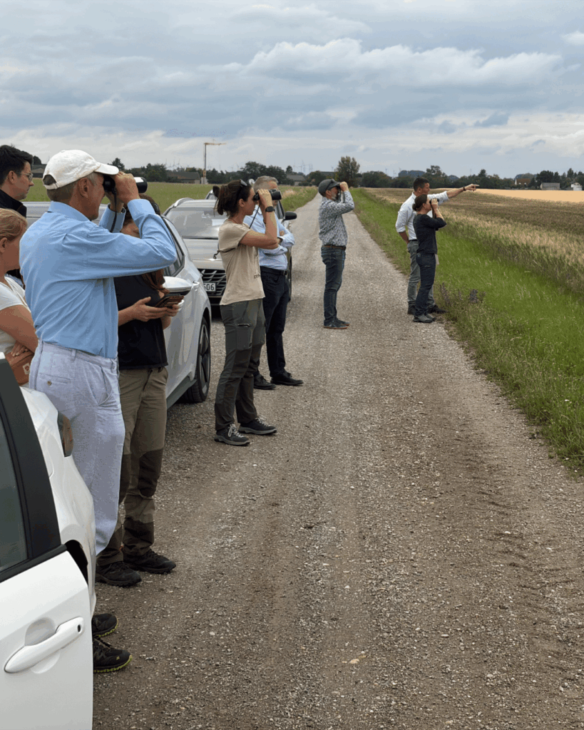 LIFE EUROBUSTARD: Projektpartner treffen sich in Österreich zur Stärkung des internationalen Naturschutzes