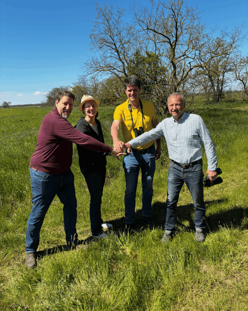 Greens and MEP Thomas Waitz Highlight Success of LIFE Conservation Projects