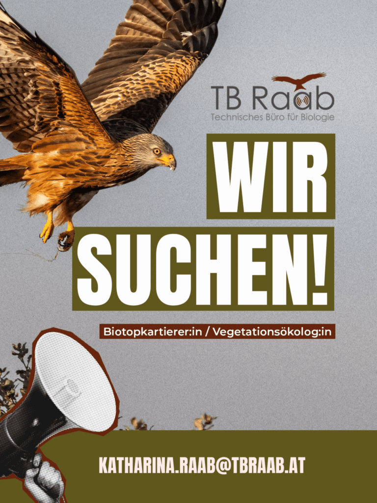 Wir suchen: Biotopkartierer:in / Vegetationsökolog:in