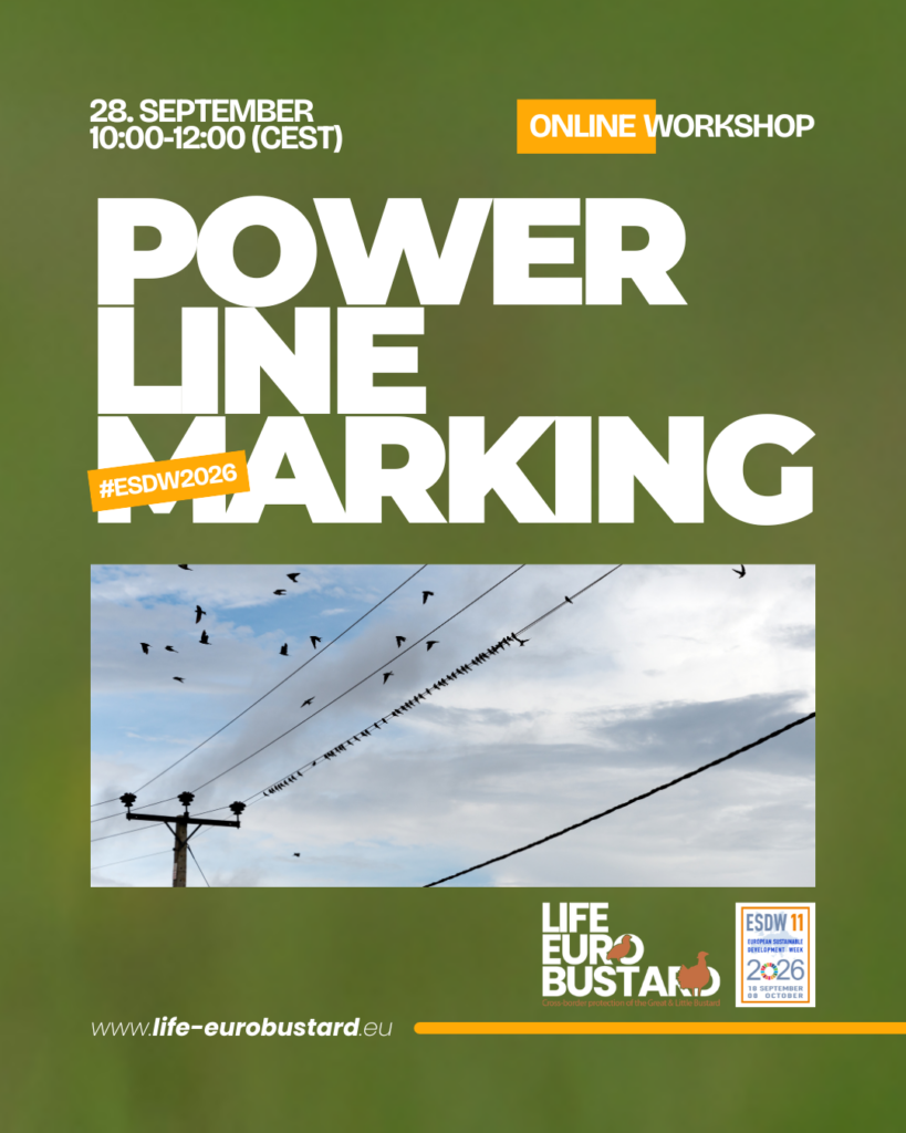 LIFE EUROBUSTARD Workshop: Power Line Marking